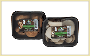 organic specialty mushrooms in 6oz packages